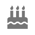 Icon LEGO Set Suggested Age
